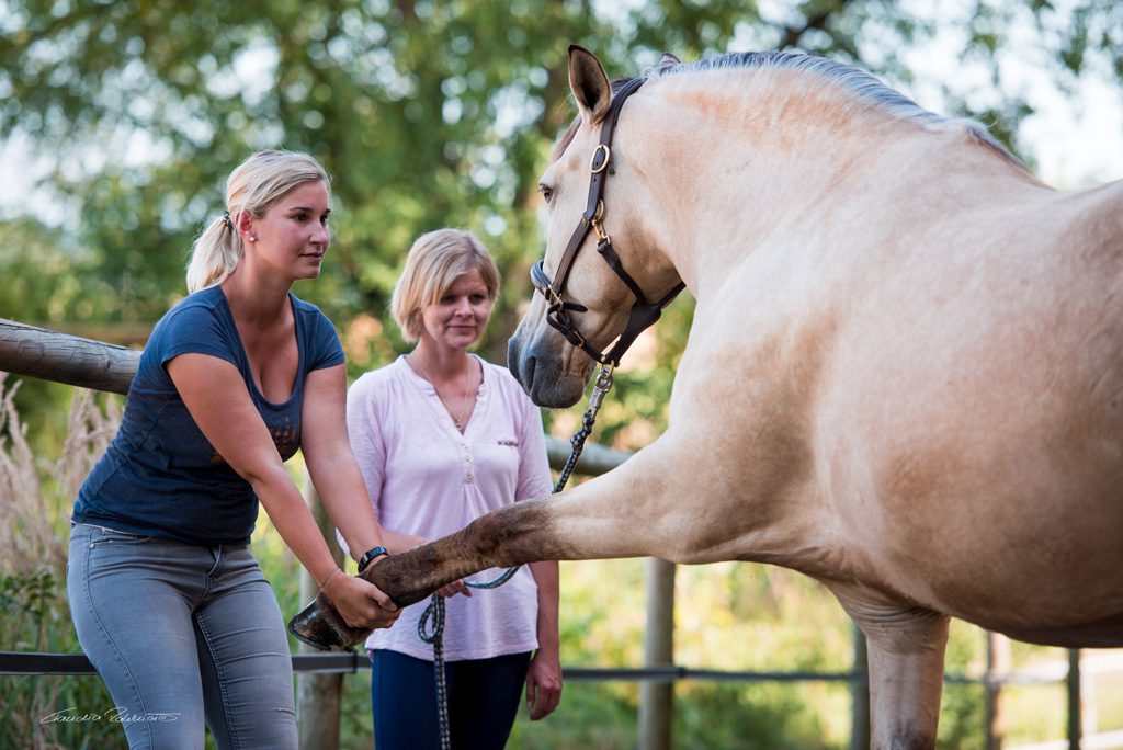 Detailaufnahme Tierphysiotherapeutin Katharina Ludwig behandelt Pferd mit Dehnungsübung an Vorderbein und Schulter