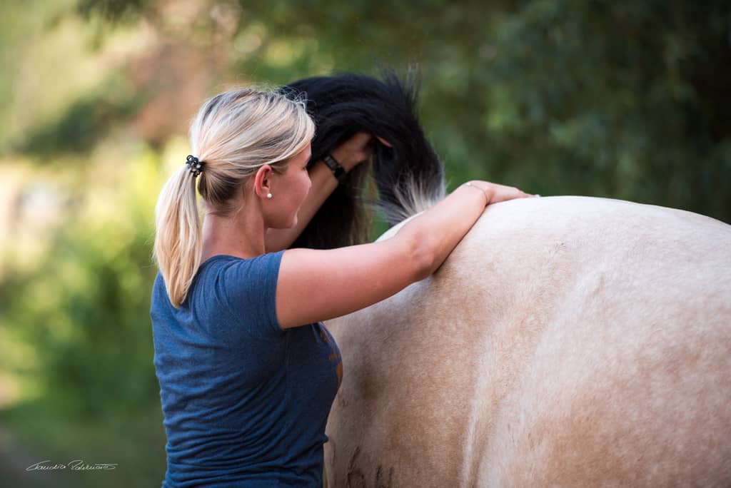 Detailaufnahme wie Tierphysiotherapeutin Katharina Ludwig Schweif eines Pferdes anhebt
