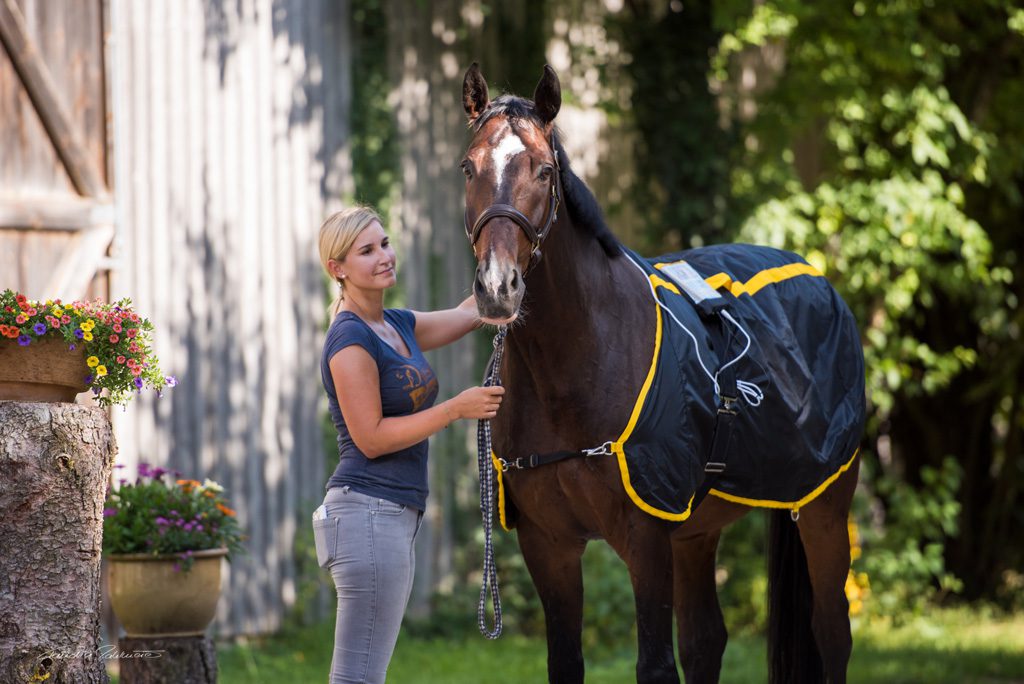Tierphysiotherapeutin Katharina Ludwig behandelt großes braunes Pferd mit Magnetfelddecke