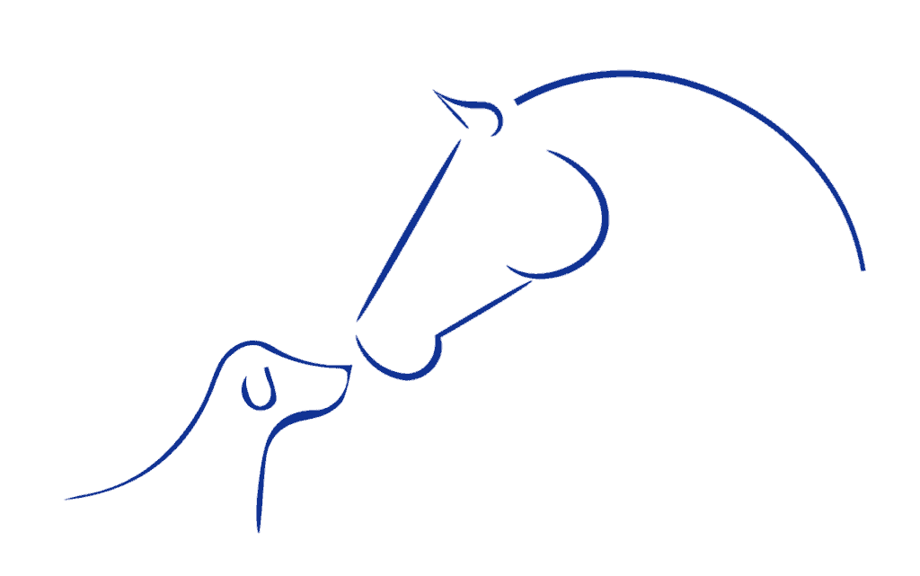 Logo Tierphysiotherapie Katharina Ludwig nur Pferde- und Hundekopf als Grafik